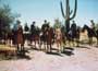 The Bottom of the Bottle - 8 x 10 Color Photo #4