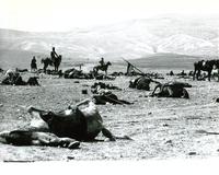 The Charge of the Light Brigade - 8 x 10 B&W Photo #15