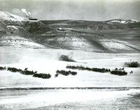 The Charge of the Light Brigade - 8 x 10 B&W Photo #22