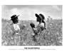 The Color Purple - 8 x 10 B&W Photo #10