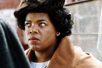 The Color Purple - 8 x 10 Color Photo #1