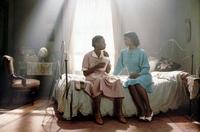 The Color Purple - 8 x 10 Color Photo #14