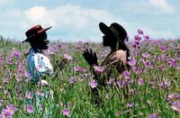 The Color Purple - 8 x 10 Color Photo #17