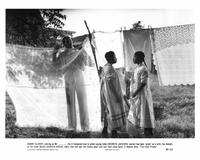 The Color Purple - 8 x 10 B&W Photo #27