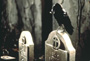 The Crow - 8 x 10 Color Photo #4
