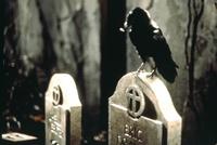 The Crow - 8 x 10 Color Photo #4