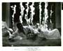 The Devil's Bride - 8 x 10 B&W Photo #2
