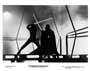 The Empire Strikes Back - 8 x 10 B&W Photo #11