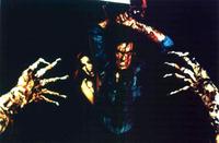 The Evil Dead - 8 x 10 Color Photo #1