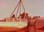 Flight of the Phoenix, The - 8 x 10 Color Photo #2