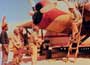 Flight of the Phoenix, The - 8 x 10 Color Photo #3