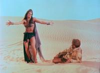 Flight of the Phoenix, The - 8 x 10 Color Photo #4