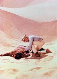 Flight of the Phoenix, The - 8 x 10 Color Photo #6