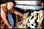 The Flintstones - 8 x 10 Color Photo #9