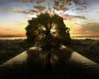 The Fountain - 8 x 10 Color Photo #18