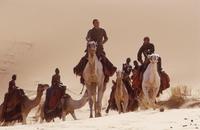 The Four Feathers - 8 x 10 Color Photo #23
