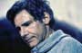The Fugitive - 8 x 10 Color Photo #7