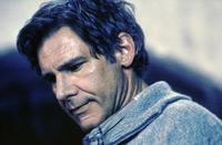 The Fugitive - 8 x 10 Color Photo #7