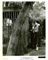 The Girl Can't Help It - 8 x 10 B&W Photo #11