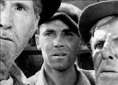 The Grapes of Wrath - 8 x 10 B&W Photo #13