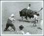 The Great American Cowboy - 8 x 10 B&W Photo #1