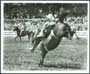 The Great American Cowboy - 8 x 10 B&W Photo #3