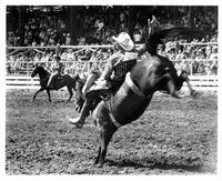 The Great American Cowboy - 8 x 10 B&W Photo #3