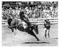 The Great American Cowboy - 8 x 10 B&W Photo #4