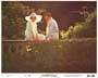 Great Gatsby, The - 8 x 10 Color Photo #5