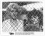 The Happy Hooker - 8 x 10 B&W Photo #3