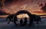 The Hitchhiker's Guide to the Galaxy - 8 x 10 Color Photo #37