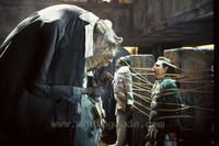 The Hitchhiker's Guide to the Galaxy - 8 x 10 Color Photo #31