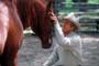 The Horse Whisperer - 8 x 10 Color Photo #2