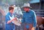 The Horse Whisperer - 8 x 10 Color Photo #8