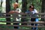 The Horse Whisperer - 8 x 10 Color Photo #13