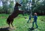 The Horse Whisperer - 8 x 10 Color Photo #14