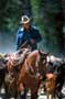 The Horse Whisperer - 8 x 10 Color Photo #15