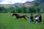 The Horse Whisperer - 8 x 10 Color Photo #18