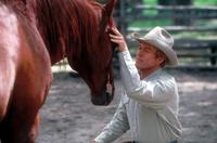 The Horse Whisperer - 8 x 10 Color Photo #2
