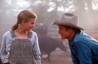The Horse Whisperer - 8 x 10 Color Photo #4