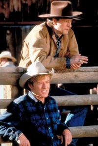 The Horse Whisperer - 8 x 10 Color Photo #10
