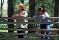 The Horse Whisperer - 8 x 10 Color Photo #13
