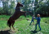 The Horse Whisperer - 8 x 10 Color Photo #14