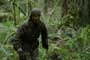 The Hunted - 8 x 10 Color Photo #1