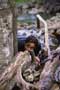 The Hunted - 8 x 10 Color Photo #10