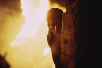 The Hunted - 8 x 10 Color Photo #2