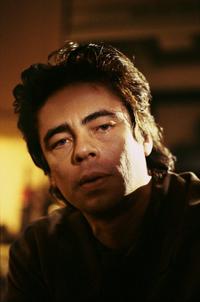 The Hunted - 8 x 10 Color Photo #6