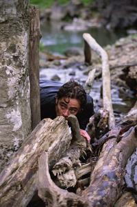 The Hunted - 8 x 10 Color Photo #10