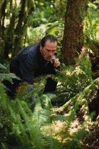 The Hunted - 8 x 10 Color Photo #13