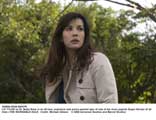 The Incredible Hulk - 8 x 10 Color Photo #10